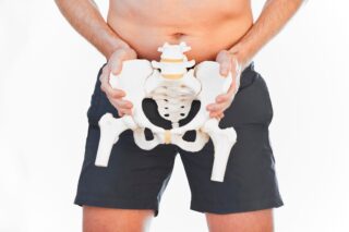 Male-Pelvis